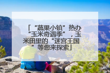 “蔬果小镇”热办“玉米奇遇季”，玉米田里的“迷宫王国”等您来探索