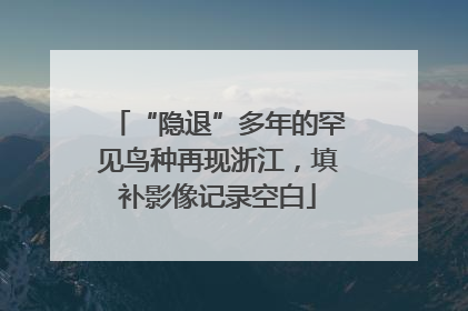 “隐退”多年的罕见鸟种再现浙江，填补影像记录空白