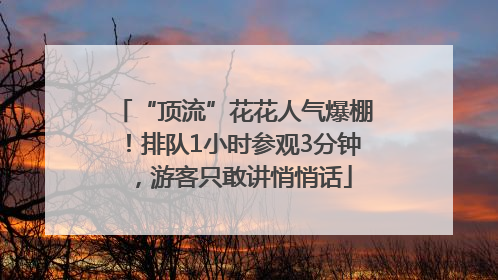 “顶流”花花人气爆棚！排队1小时参观3分钟，游客只敢讲悄悄话