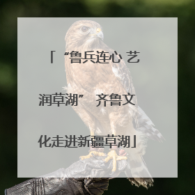 “鲁兵连心 艺润草湖” 齐鲁文化走进新疆草湖