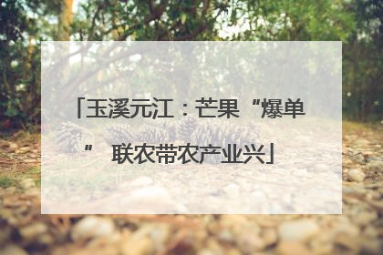 玉溪元江：芒果“爆单” 联农带农产业兴