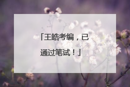 王皓考编，已通过笔试！