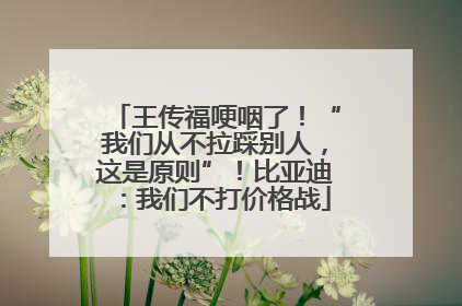 王传福哽咽了！“我们从不拉踩别人，这是原则”！比亚迪：我们不打价格战