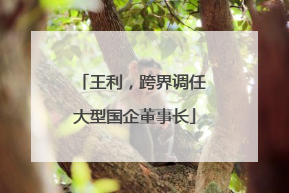 王利，跨界调任大型国企董事长