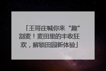 王哥庄喊你来“趣”割麦！麦田里的丰收狂欢，解锁田园新体验