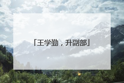 王学勤，升副部