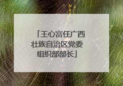 王心富任广西壮族自治区党委组织部部长