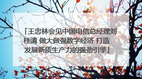 王忠林会见中国电信总经理刘桂清 做大做强数字经济 打造发展新质生产力的强劲引擎