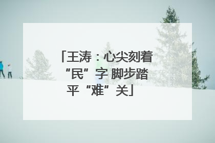 王涛：心尖刻着“民”字 脚步踏平“难”关