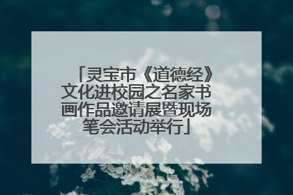 灵宝市《道德经》文化进校园之名家书画作品邀请展暨现场笔会活动举行