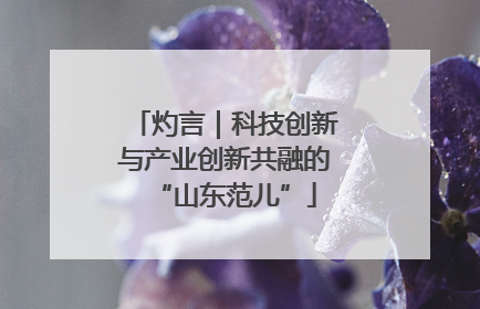 灼言｜科技创新与产业创新共融的“山东范儿”