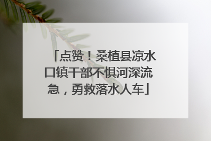 点赞！桑植县凉水口镇干部不惧河深流急，勇救落水人车