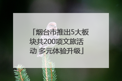 烟台市推出5大板块共200项文旅活动 多元体验升级