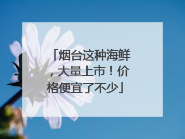 烟台这种海鲜，大量上市！价格便宜了不少