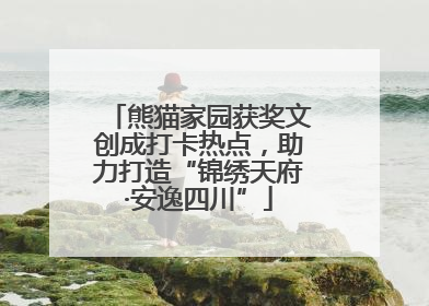 熊猫家园获奖文创成打卡热点，助力打造“锦绣天府·安逸四川”