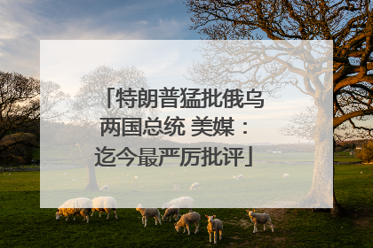 特朗普猛批俄乌两国总统 美媒：迄今最严厉批评