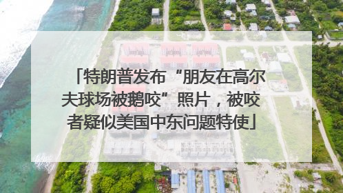 特朗普发布“朋友在高尔夫球场被鹅咬”照片，被咬者疑似美国中东问题特使
