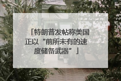 特朗普发帖称美国正以“前所未有的速度储备武器”