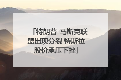 特朗普-马斯克联盟出现分裂 特斯拉股价承压下挫