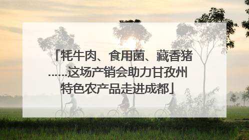 牦牛肉、食用菌、藏香猪……这场产销会助力甘孜州特色农产品走进成都