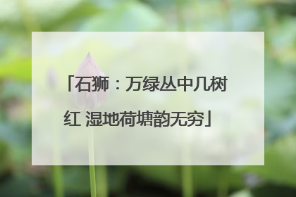 石狮：万绿丛中几树红 湿地荷塘韵无穷