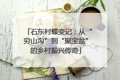 石东村蝶变记：从“穷山沟”到“聚宝盆”的乡村振兴传奇