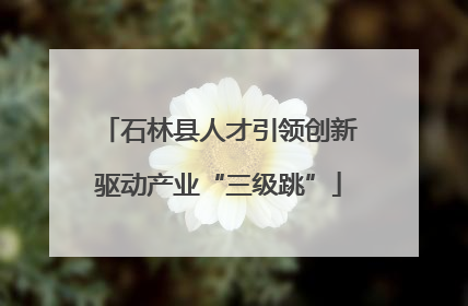 石林县人才引领创新驱动产业“三级跳”