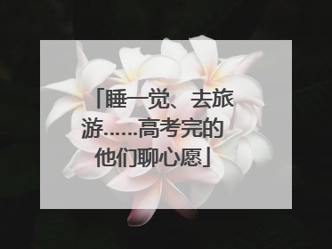 睡一觉、去旅游……高考完的他们聊心愿