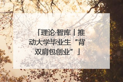 理论·智库丨推动大学毕业生“背双肩包创业”
