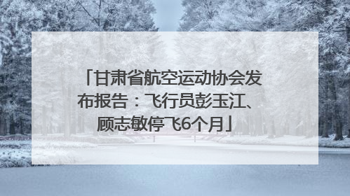 甘肃省航空运动协会发布报告：飞行员彭玉江、顾志敏停飞6个月