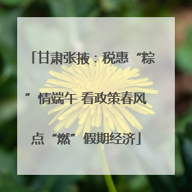 甘肃张掖：税惠“粽”情端午 看政策春风点“燃”假期经济