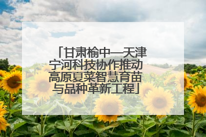 甘肃榆中—天津宁河科技协作推动高原夏菜智慧育苗与品种革新工程