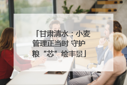 甘肃清水：小麦管理正当时 守护粮“芯”绘丰景