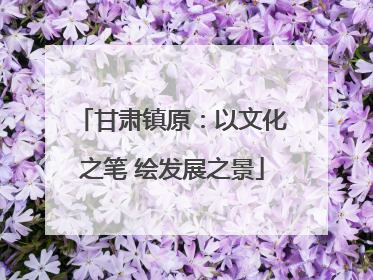 甘肃镇原：以文化之笔 绘发展之景