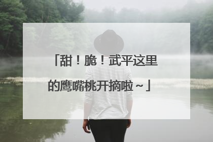 甜！脆！武平这里的鹰嘴桃开摘啦～