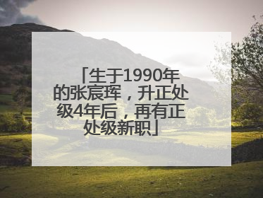 生于1990年的张宸珲，升正处级4年后，再有正处级新职