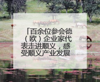 百余位参会德（欧）企业家代表走进顺义，感受顺义产业发展活力