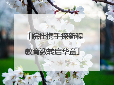 皖桂携手探新程 教育数转启华章