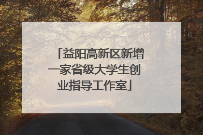 益阳高新区新增一家省级大学生创业指导工作室