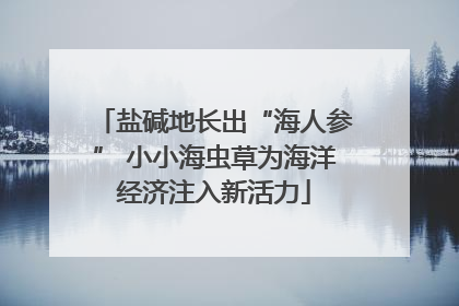 盐碱地长出“海人参” 小小海虫草为海洋经济注入新活力