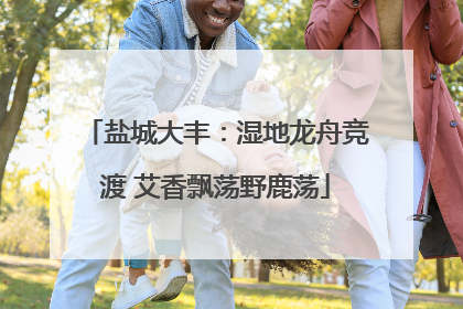 盐城大丰：湿地龙舟竞渡 艾香飘荡野鹿荡