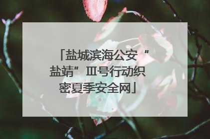 盐城滨海公安“盐靖”Ⅲ号行动织密夏季安全网