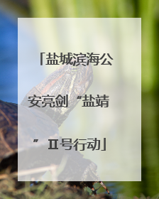 盐城滨海公安亮剑“盐靖”Ⅱ号行动
