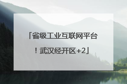 省级工业互联网平台！武汉经开区+2