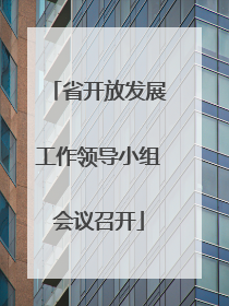 省开放发展工作领导小组会议召开