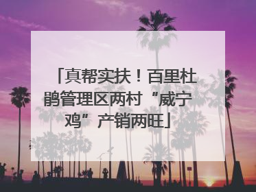 真帮实扶！百里杜鹃管理区两村“威宁鸡”产销两旺