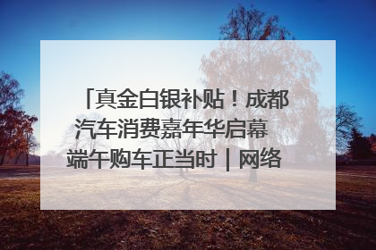 真金白银补贴！成都汽车消费嘉年华启幕 端午购车正当时｜网络中国节·端午
