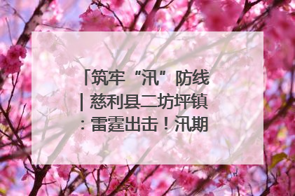 筑牢“汛”防线｜慈利县二坊坪镇：雷霆出击！汛期捕鱼被紧急叫停