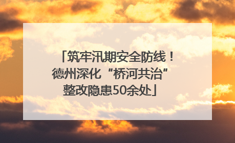 筑牢汛期安全防线！德州深化“桥河共治”整改隐患50余处