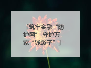 筑牢金融“防护网” 守护万家“钱袋子”